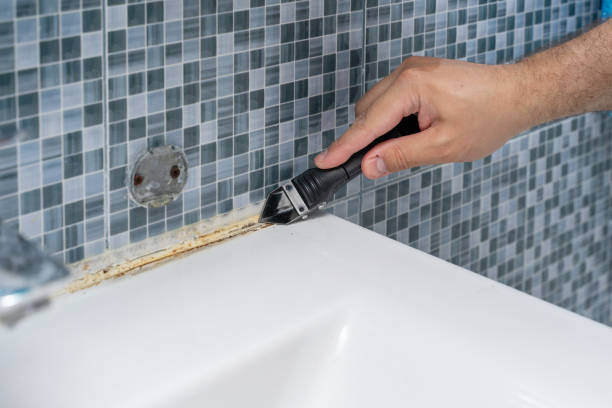 Best Professional Mold Removal  in Edgemont Park, MI