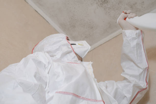 Best Mold Cleaning Services  in Edgemont Park, MI