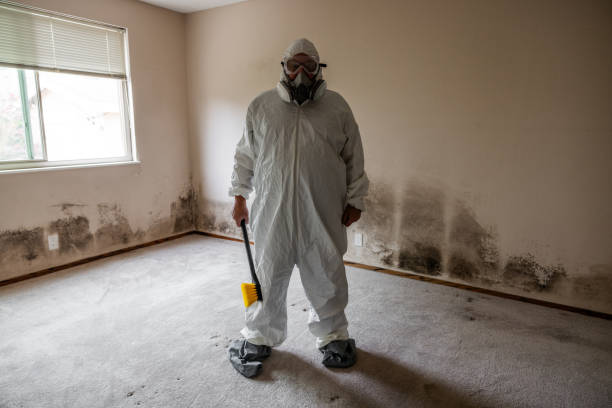Water Damage Restoration in Edgemont Park, MI